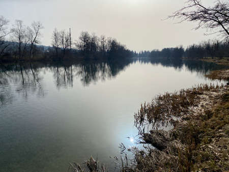 Reuss River before Lake Flachsee and in natural protection zone Aargau Reuss river plain (Naturschutzzone Aargauische Auen in der Reussebene), Rottenschwil - Switzerland (Schweiz)の写真素材