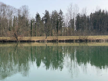 Reuss River before Lake Flachsee and in natural protection zone Aargau Reuss river plain...