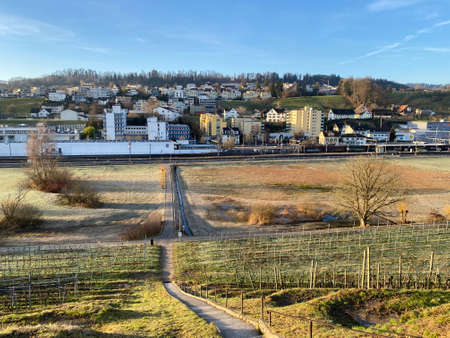 View of the village of WÃ¤denswil (Waedenswil) from the south and the hill on the Au Peninsula, above Lake Zurich (Zuerichsee oder ZÃ¼richsee) - Canton of ZÃ¼rich (Zuerich), Switzerland / Schweizのeditorial素材