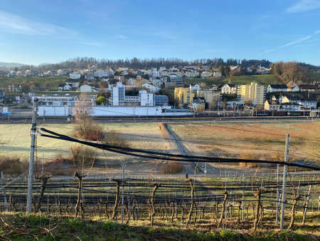 View of the village of WÃ¤denswil (Waedenswil) from the south and the hill on the Au Peninsula, above Lake Zurich (Zuerichsee oder ZÃ¼richsee) - Canton of ZÃ¼rich (Zuerich), Switzerland / Schweizのeditorial素材