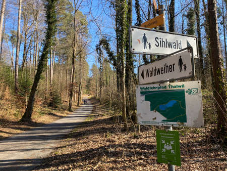 Recreational trails and promenades in the area of Gattikerweiher and Waldweiher ponds, Gattikon - Canton of ZÃ¼rich (Zuerich or Zurich), Switzerland (Schweiz)のeditorial素材