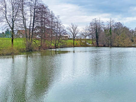 Late winter and early spring on the Sternenweiher pond or Sternensee lake above the forest gorge of the MÃ¼libach stream, Samstagern - Canton of ZÃ¼rich (Zuerich or Zurich), Switzerland (Schweiz)の写真素材