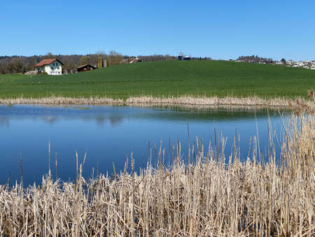 Small ponds and lowland wetland pastures in the valley along Lake Mauensee or Lake Mauen (Mauesee) - Canton of Lucerne, Switzerland (Schweiz)の写真素材