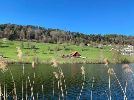 Late winter and early spring on the beautiful small lake Egolzwilersee or Lake Egolzwiler, Egolzwil - Canton of Lucerne, Switzerland (Schweiz)の写真素材