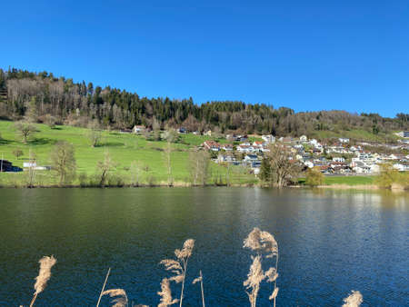 Late winter and early spring on the beautiful small lake Egolzwilersee or Lake Egolzwiler, Egolzwil - Canton of Lucerne, Switzerland (Schweiz)の写真素材