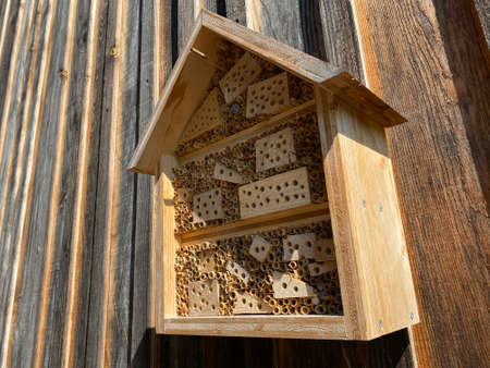 Insect hotel (bug hotel or insect house) in an alpine forest on the slopes of the Swiss mountain massif Pilatus, Schwarzenberg LU - Canton of Lucerne (Kanton Luzern), Switzerland (Schweiz)の写真素材