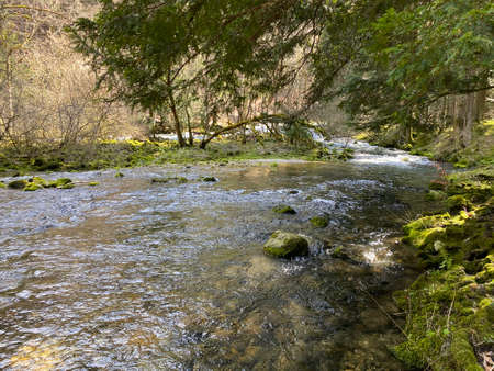 The course of the river Orbe between the cave or spring and the settlement of Vallorbe (der Fluss Orbe or le fleuve de l'Orbe), Vallorbe - Canton of Vaud, Switzerland (Kanton Waadt, Schweiz)の写真素材