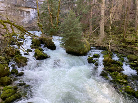 The course of the river Orbe between the cave or spring and the settlement of Vallorbe (der Fluss Orbe or le fleuve de l'Orbe), Vallorbe - Canton of Vaud, Switzerland (Kanton Waadt, Schweiz)の写真素材