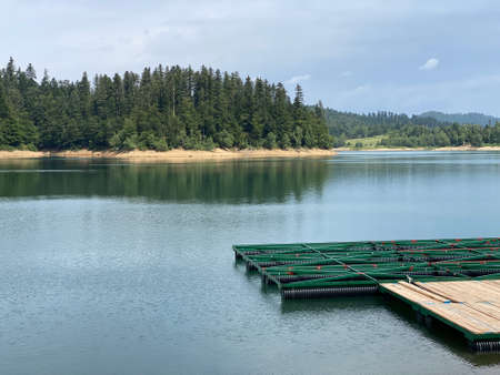 Artificial reservoir Lake Lokve or Artificial accumulation Lokvarsko Lake - Gorski kotar, Croatia (Lokvarsko jezero ili umjetno akumulacijsko Omladinsko jezero, Lokve - Gorski kotar, Hrvatska)の写真素材