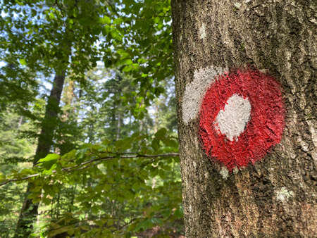 Hiking markings on the trails around the Lokve lake or the Lokvarsko Lake reservoir in Gorski kotar - Croatia (Planinarske markacije na stazama oko Omladinskog ili Lokvarskog jezera u Gorskom kotaru)の写真素材