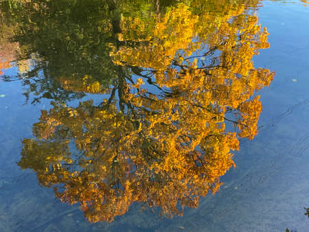 An early autumn landscape along the Glatt River and its embankment in the city of ZÃ¼rich (Zuerich or Zurich), Wallisellen - Switzerland (Schweiz)の写真素材
