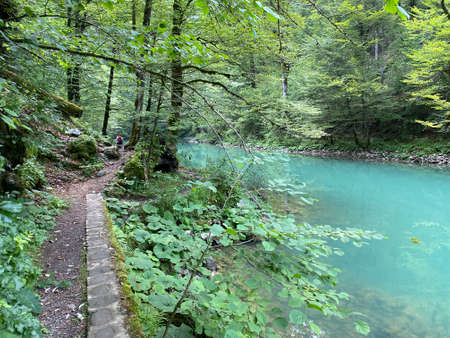 The course of the river Kupa directly below the mountain karst spring - Razloge, Croatia (Tok rijeke...