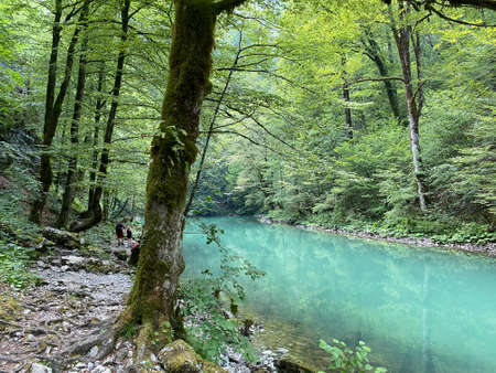 The course of the river Kupa directly below the mountain karst spring - Razloge, Croatia (Tok rijeke Kupe neposredno pod goranskim krÅ¡kim vrelom, Razloge - Gorski kotar, Hrvatska)のeditorial素材