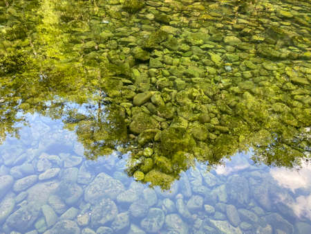 The course of the river Kupica directly below the mountain karst spring (Tok rijeke Kupice neposredno pod goranskim krÅ¡kim vrelom, Mala LeÅ¡nica - Gorski kotar, Hrvatska)の写真素材