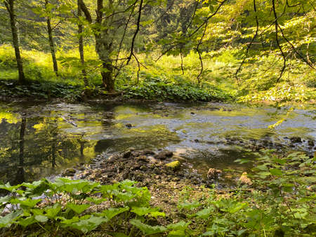 The course of the river Kupica directly below the mountain karst spring (Tok rijeke Kupice...