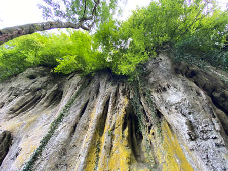 Limestone rocks in Forest park Jankovac - Papuk nature park, Croatia (VapnenaÄke stijene u Park...
