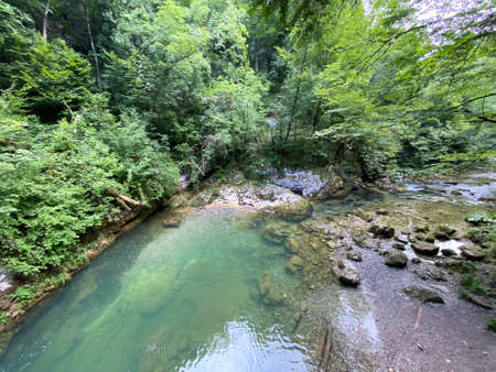 Protected landscape of the small river Kamacnik in Gorski kotar - Vrbovsko, Croatia (ZaÅ¡tiÄeni krajolik rjeÄice KamaÄnik u Gorskom kotaru - Vrbovsko, Hrvatska)の写真素材