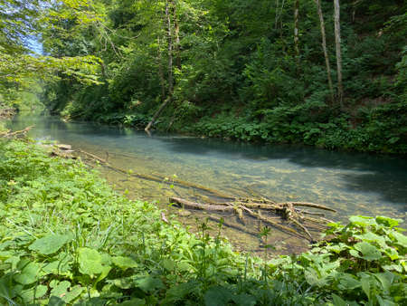 Protected landscape of the small river Kamacnik in Gorski kotar - Vrbovsko, Croatia...