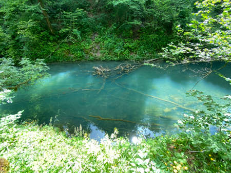 Protected landscape of the small river Kamacnik in Gorski kotar - Vrbovsko, Croatia (ZaÅ¡tiÄeni krajolik rjeÄice KamaÄnik u Gorskom kotaru - Vrbovsko, Hrvatska)の写真素材