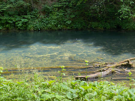 Protected landscape of the small river Kamacnik in Gorski kotar - Vrbovsko, Croatia (ZaÅ¡tiÄeni krajolik rjeÄice KamaÄnik u Gorskom kotaru - Vrbovsko, Hrvatska)の写真素材