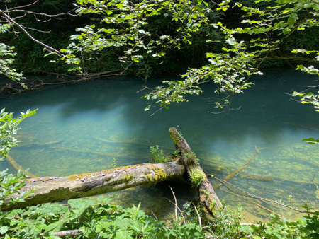 Protected landscape of the small river Kamacnik in Gorski kotar - Vrbovsko, Croatia (ZaÅ¡tiÄeni krajolik rjeÄice KamaÄnik u Gorskom kotaru - Vrbovsko, Hrvatska)の写真素材
