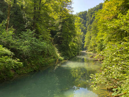 Protected landscape of the small river Kamacnik in Gorski kotar - Vrbovsko, Croatia (ZaÅ¡tiÄeni krajolik rjeÄice KamaÄnik u Gorskom kotaru - Vrbovsko, Hrvatska)の写真素材