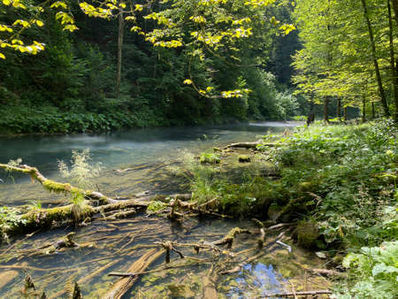 Protected landscape of the small river Kamacnik in Gorski kotar - Vrbovsko, Croatia (ZaÅ¡tiÄeni krajolik rjeÄice KamaÄnik u Gorskom kotaru - Vrbovsko, Hrvatska)の写真素材