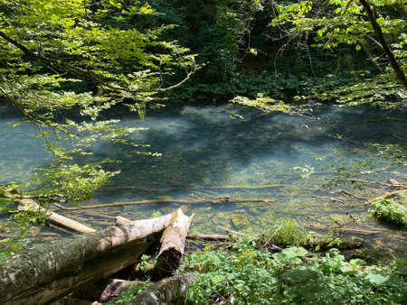 Protected landscape of the small river Kamacnik in Gorski kotar - Vrbovsko, Croatia (ZaÅ¡tiÄeni krajolik rjeÄice KamaÄnik u Gorskom kotaru - Vrbovsko, Hrvatska)の写真素材