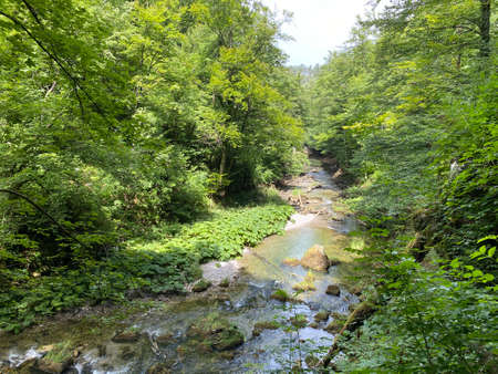 Protected landscape of the small river Kamacnik in Gorski kotar - Vrbovsko, Croatia...