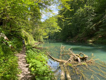 Hiking trail along the protected landscape of the Kamacnik river canyon in Gorski kotar - Vrbovsko,...