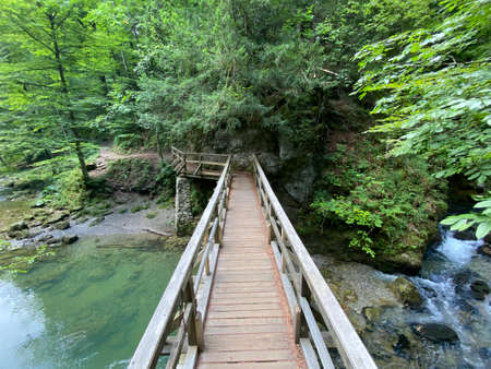 Wooden hiking trails and bridges along the protected landscape of the Kamacnik canyon - Vrbovsko, Croatia (Drvene pjeÅ¡aÄke staze i mostiÄi duÅ¾ zaÅ¡tiÄenog krajolika kanjona KamaÄnik - Gorski kotar)の写真素材
