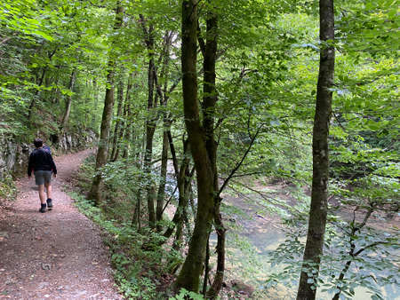 Hiking trail along the protected landscape of the Kamacnik river canyon in Gorski kotar - Vrbovsko, Croatia (PjeÅ¡aÄka staza duÅ¾ zaÅ¡tiÄenog krajolika kanjona KamaÄnik u Gorskom kotaru - Hrvatska)のeditorial素材