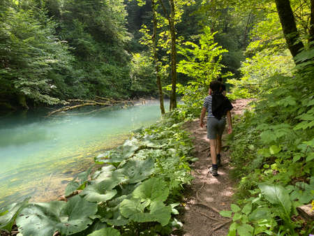 Hiking trail along the protected landscape of the Kamacnik river canyon in Gorski kotar - Vrbovsko, Croatia (PjeÅ¡aÄka staza duÅ¾ zaÅ¡tiÄenog krajolika kanjona KamaÄnik u Gorskom kotaru - Hrvatska)のeditorial素材