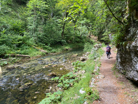 Hiking trail along the protected landscape of the Kamacnik river canyon in Gorski kotar - Vrbovsko, Croatia (PjeÅ¡aÄka staza duÅ¾ zaÅ¡tiÄenog krajolika kanjona KamaÄnik u Gorskom kotaru - Hrvatska)のeditorial素材