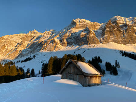 Idyllic Swiss alpine mountain huts dressed in winter clothes and in a fresh snow cover on slopes on the Alpstein mountain range - Mountain pass SchwÃ¤galp, Switzerland (Schweiz)の写真素材