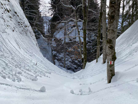Hiking markings and orientation signs with signposts for navigating in the idyllic winter ambience of the Alpstein massif in the Swiss Alps - SchwÃ¤galp mountain pass, Switzerland (Schweiz)の写真素材