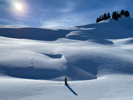 A magical play of light and shadow on a pure white snow cover in a mixed alpine forest, SchwÃ¤galp...