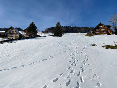 Wonderful winter hiking trails and traces on the slopes of the Alpstein mountain range and in the fresh alpine snow cover of the Swiss Alps - Alt St. Johann, Switzerland (Schweiz)の写真素材