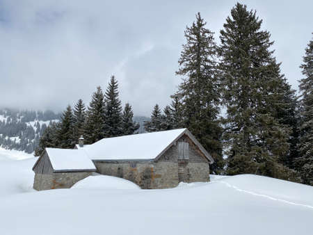Indigenous alpine huts and wooden cattle stables on Swiss pastures covered with fresh white snow...
