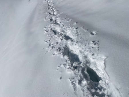 Wonderful winter hiking trails and traces on the slopes of the Alpstein mountain range and in the...