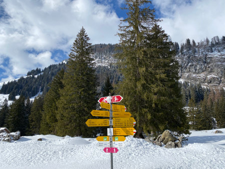 Hiking markings and orientation signs with signposts for navigating in the idyllic winter ambience...