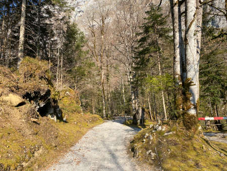 Trails for walking, hiking, sports and recreation around the KlÃ¶ntalersee reservoir lake (or...