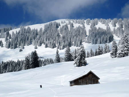 Indigenous alpine huts and wooden cattle stables on Swiss pastures covered with fresh white snow cover, Nesslau - Obertoggenburg, Switzerland (Schweiz)の写真素材