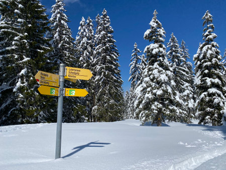 Hiking markings and orientation signs with signposts for navigating in the idyllic winter ambience on the Alpstein mountain massif and in the Swiss Alps - Nesslau, Switzerland / Schweizの写真素材