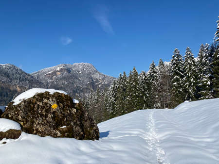 Hiking markings and orientation signs with signposts for navigating in the idyllic winter ambience on the Alpstein mountain massif and in the Swiss Alps - Nesslau, Switzerland / Schweizの写真素材
