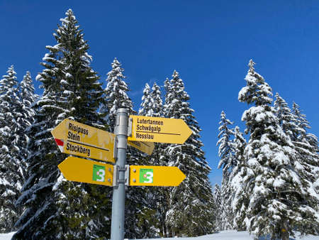 Hiking markings and orientation signs with signposts for navigating in the idyllic winter ambience...