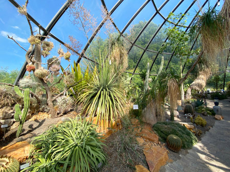 The Botanical Garden of the University of Zurich or Botanischer Garten der UniversitÃ¤t ZÃ¼rich (Botanischer Garten der Universitat Zurich / Botanischer Garten Universitaet Zuerich)のeditorial素材