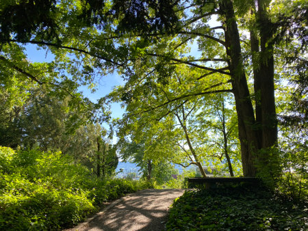 The Botanical Garden of the University of Zurich or Botanischer Garten der UniversitÃ¤t ZÃ¼rich (Botanischer Garten der Universitat Zurich - Botanischer Garten Zuerich)の写真素材