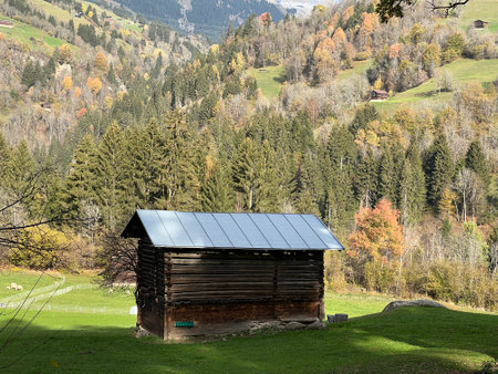 Traditional Swiss architecture and wooden alpine houses in the autumn environment of mountain pastures and mixed forests in the Swiss Alps, Ilanz - Canton of Grisons, Switzerlandの写真素材