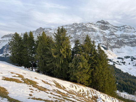 Late autumn atmosphe with the first snow on the mixed trees in the alpine area of the Alpstein mountain massif, UrnÃ¤sch (Urnaesch or Urnasch) - Canton of Appenzell, Switzerlandの写真素材